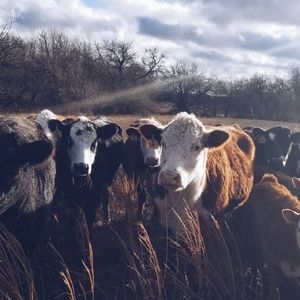 Meet your Posher, Mary